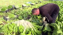 Los agricultores españoles se rebelan para exigir “precios justos”
