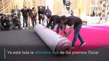 Lista la alfombra roja para los Óscar