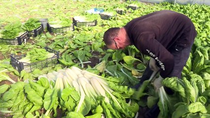 In Spain, angry farmers mobilise over 'pitiful prices'
