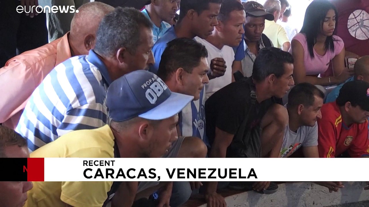 Blutige tradition: hahnenkämpfe in venezuela