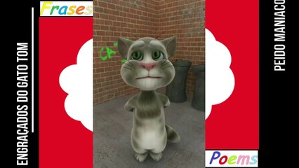 Peidos engraçados do gato tom: Peido maníaco, te persegue em todos os lugares! [Frases e Poemas]