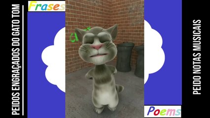 Peidos engraçados do gato tom: Peido notas musicais! [Frases e Poemas]