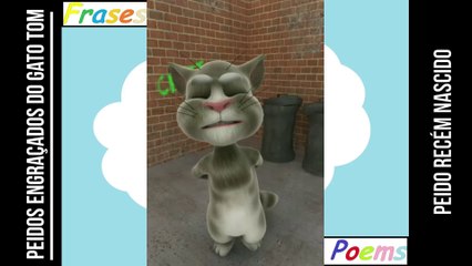 Peidos engraçados do gato tom: Peido récem nascido, já está fazendo merda! [Frases e Poemas]