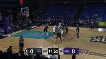 Devin Robinson (30 points) Highlights vs. Greensboro Swarm