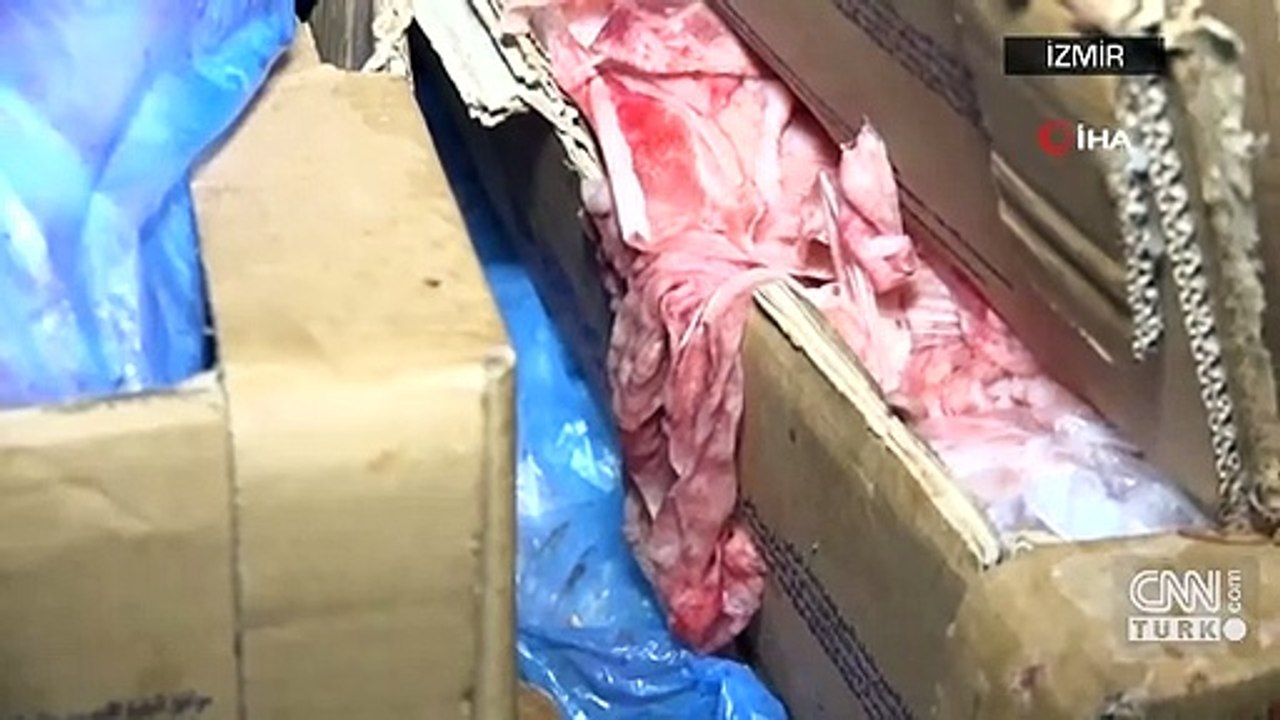 Yetkililer görünce şoke oldu... Korku filmi gibi