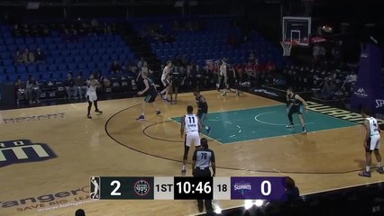 Henry Ellenson (29 points) Highlights vs. Greensboro Swarm