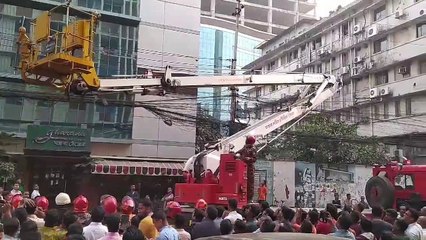 Cat Rescued from Skyscraper Ledge