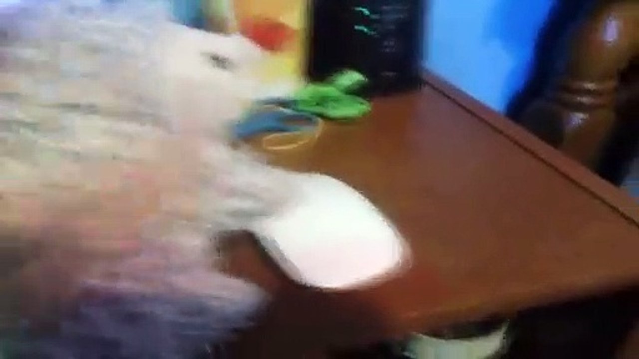 (MrBeast reupload) Worst Intros On Youtube Ep # 16 Really Bad Intros LOL