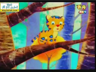 نمور و الدب الاسمر (النمر الصغير)