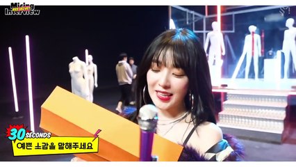Micing Interview_ Red Velvet (crazy interview)