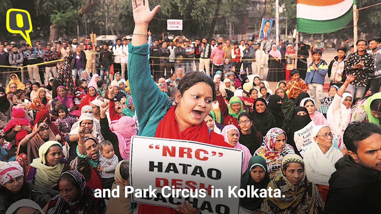 'In Solidarity With Shaheen Bagh': Protesters at Leaning Tower Of Pisa