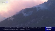 L'incendie qui a ravagé plus de 1000 hectares en Corse est 