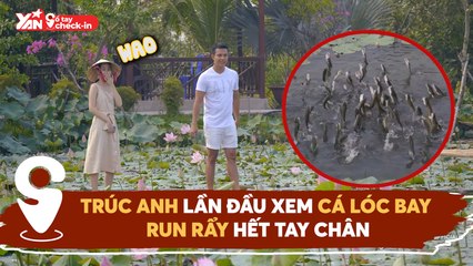 SỔ TAY CHECK IN II TRÚC ANH LẦN ĐẦU XEM CÁ LÓC BAY RUN RẨY HẾT TAY CHÂN
