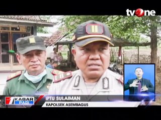 9 Sapi Mati Mendadak, Sisa Pakan Ternak Diuji Laboratorium