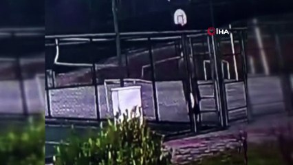 İstanbul’da köpeği defalarca tekmeleyen şahıs kamerada