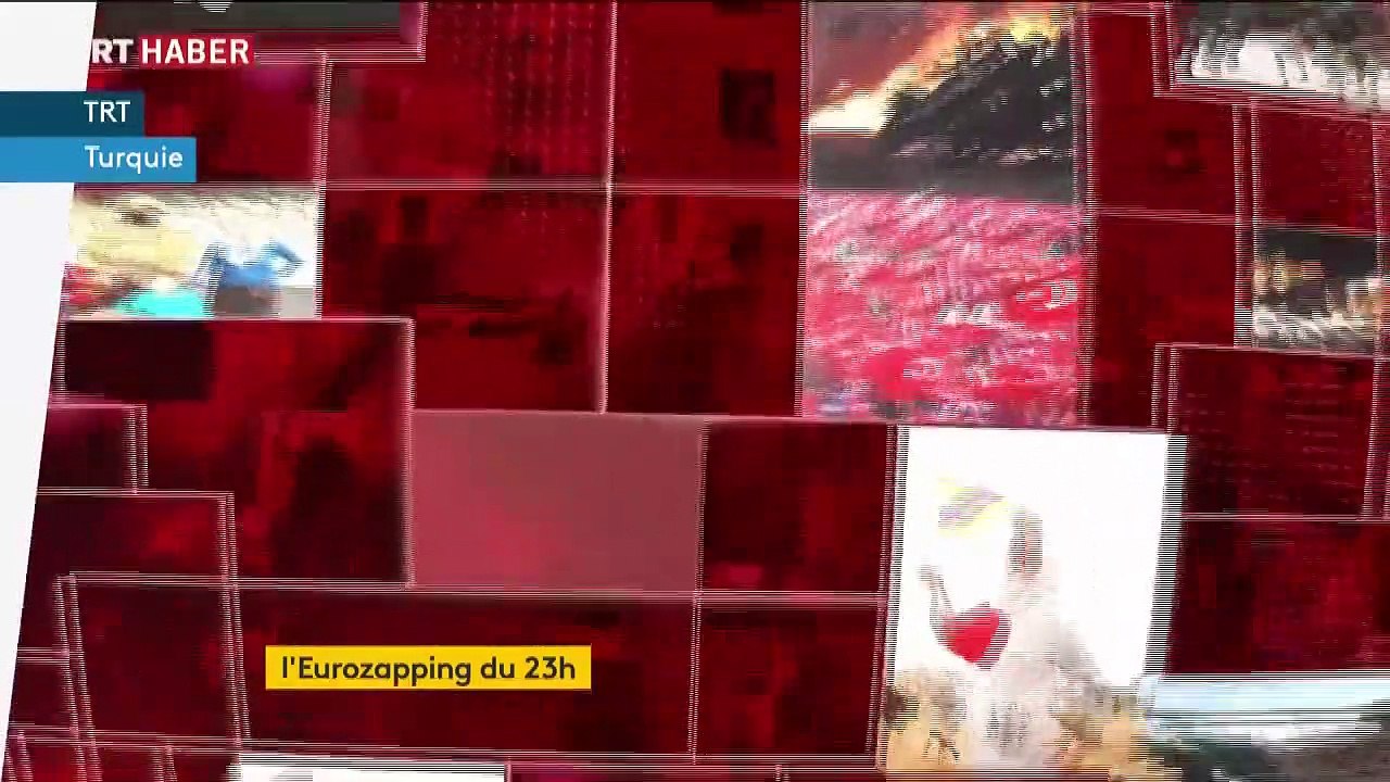 Eurozapping : avalanches mortelles en Turquie ; un président élu grâce à l'extrême droite en Allemagne