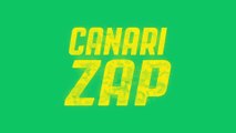 Le Canari Zap du mois de Janvier