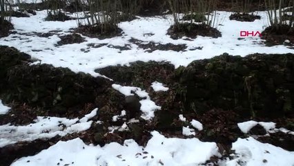 Ordu heyelan nedeniyle boşaltılan konutlarda 'oturum' kararı