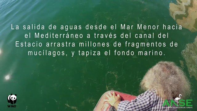 ANSE denuncia pesca ilegal en el Parque Regional Salinas de San Pedro