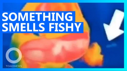 Global Times spreads hoax that infrared cameras see your farts