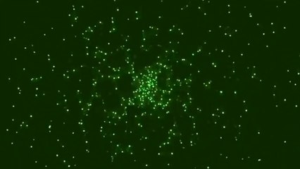 SEVENTEEN Joins Big hit Label, BTS's Brother and sister group to debut in 2020