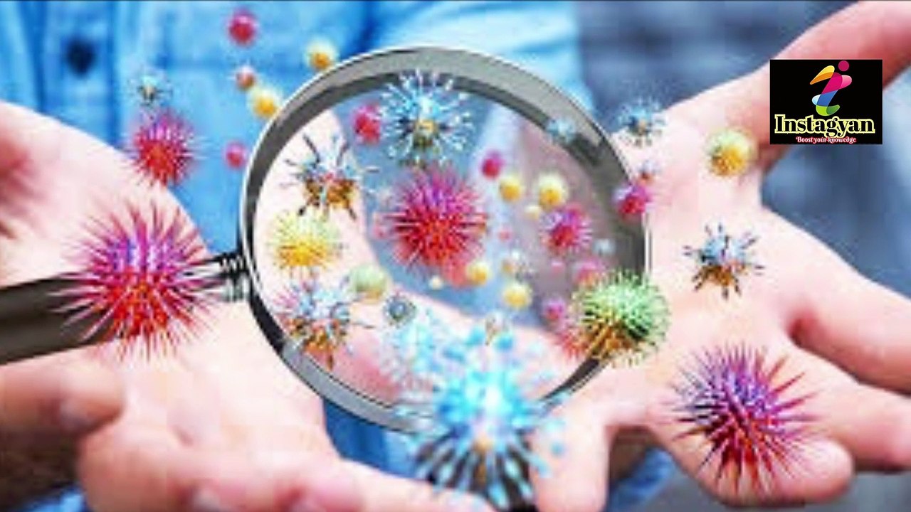 Most Dangerous Viruses In History