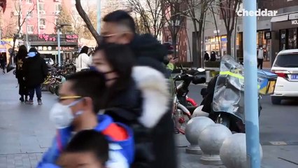 Coronaviruses (Wuhan Virus  Outbreak )