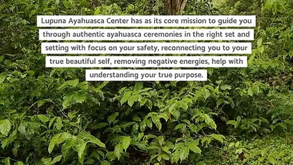Ayahuasca Retreat Peru-lupunaretreat