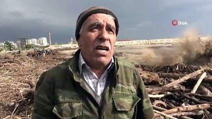 Sel suları yükseldi, köprü trafiğe kapatıldı...Canlarını hiçe sayıp kıyıya vuran odunları toplamak için yarıştılar