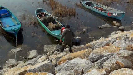 Karabatak sürüleri balıkçıların korkulu rüyası haline geldi