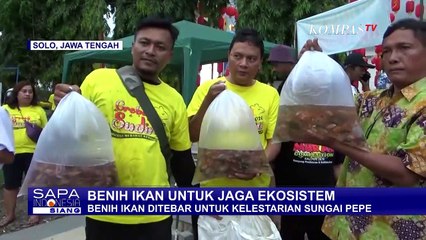 Tebar Benih Ikan di Sungai Pepe Untuk Jaga Ekosistem
