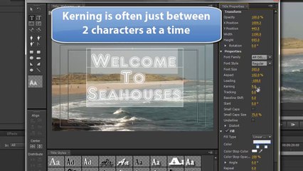 Premiere Pro CS6 34 Formatting Titles
