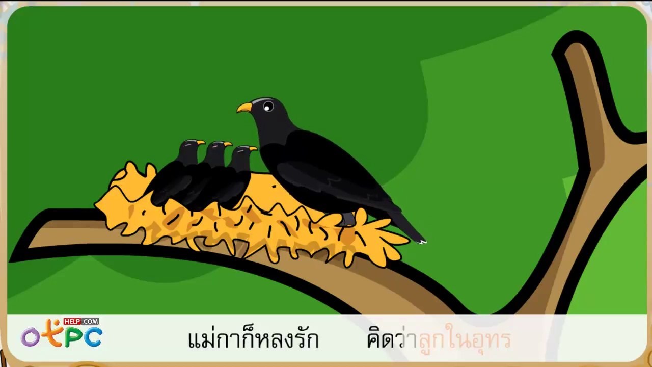 นกกาเหว่า - ภาษาไทย ป.2
