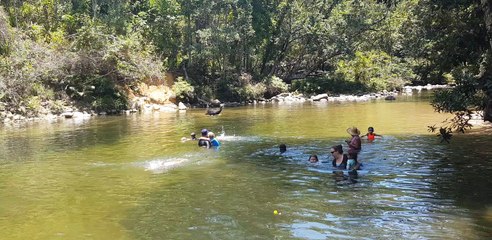 Cassowary Joins Family for a Swim