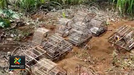 tn7-denuncias-sinac-060220
