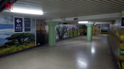 Ghost City: Beijing’s 22 Million People Are Virtually Unseen During Coronavirus Lockdown