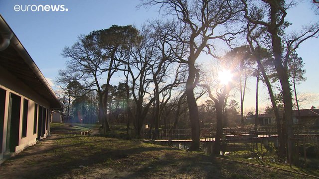 Lakóparkot nyitnak Alzheimer-kóros betegek elhelyezésére Franciaországban