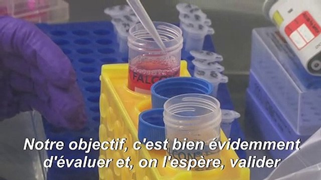 Coronavirus: un labo lyonnais sur le pont pour trouver un traitement