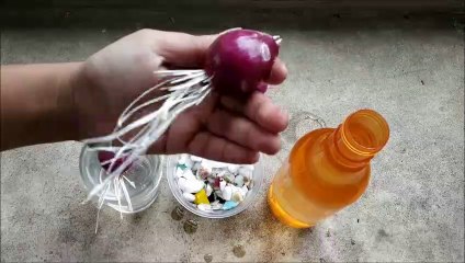 Sprout An Onion Easily | 3 Ways To Grow An Onion In Water | Whimsy Crafter