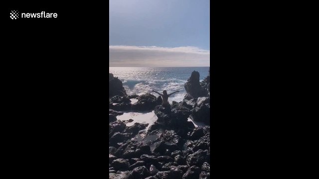 Take my picture! Woman knocked over by a large wave in Hawaii