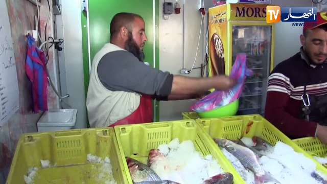 النهار ترندينغ: أسماك من موريطانيا تصل إلى تندوف وردود أفعال متباينة على مواقع التواصل الإجتماعي