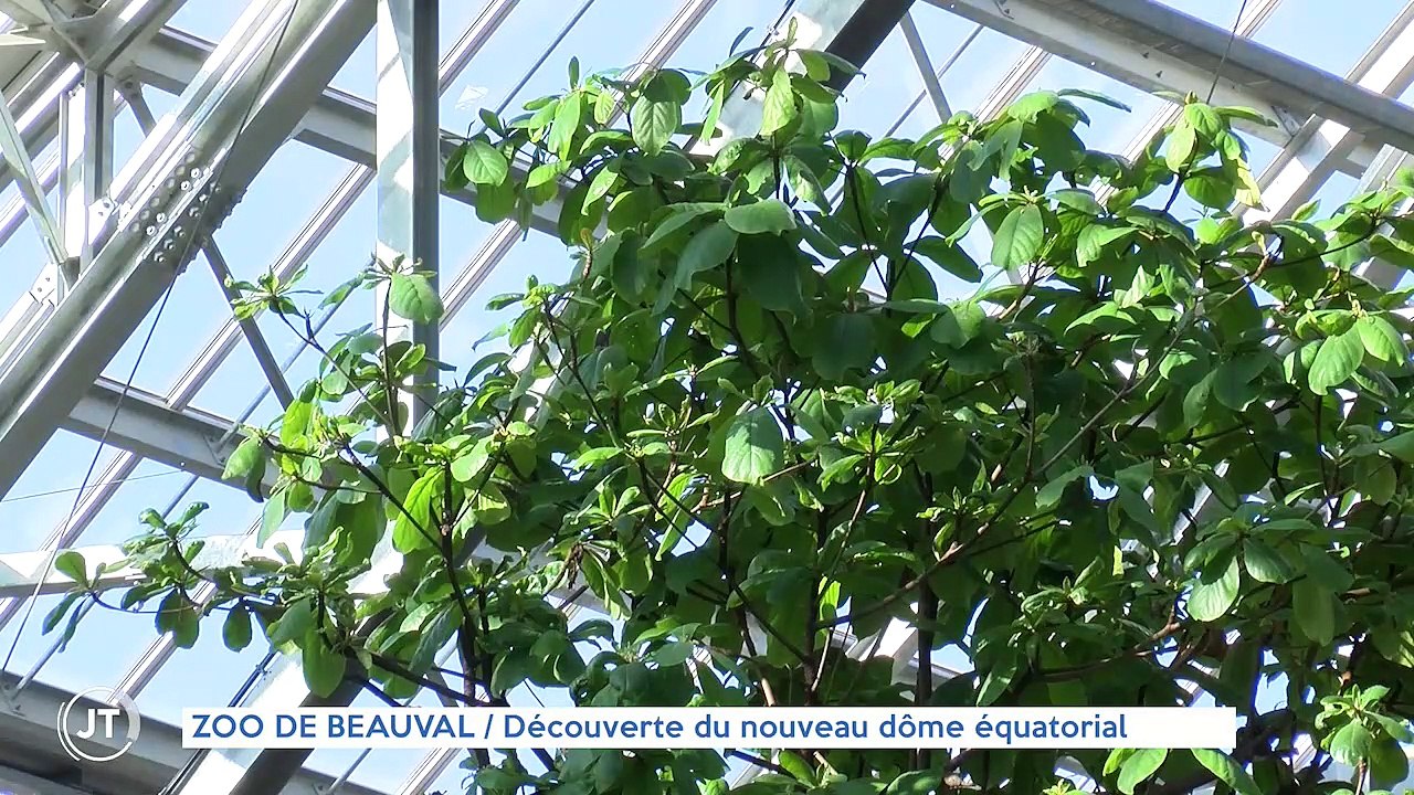 ZOO DE BEAUVAL Découverte du nouveau dôme équatorial