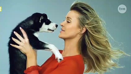 Misja pies - czołówka i tyłówka