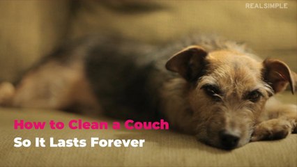 How to Clean a Couch So It Lasts Forever