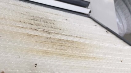 "아파트 환기 설비에 곰팡이...9년 째 필터 안 갈아" / YTN