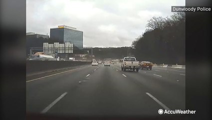 Tree falls on car traveling down Georgia highway