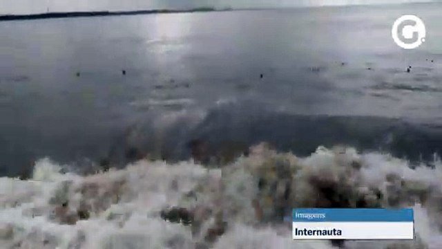 Dezenas de arraias surpreendem banhistas na Praia de Camburi