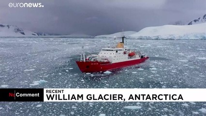 Effondrement d'un bloc de glace : un iceberg se forme sous leurs yeux