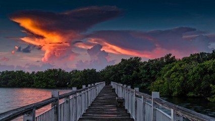 Biscayne National Park Is 95% Underwater — and That's Exactly Why You Need to Visit