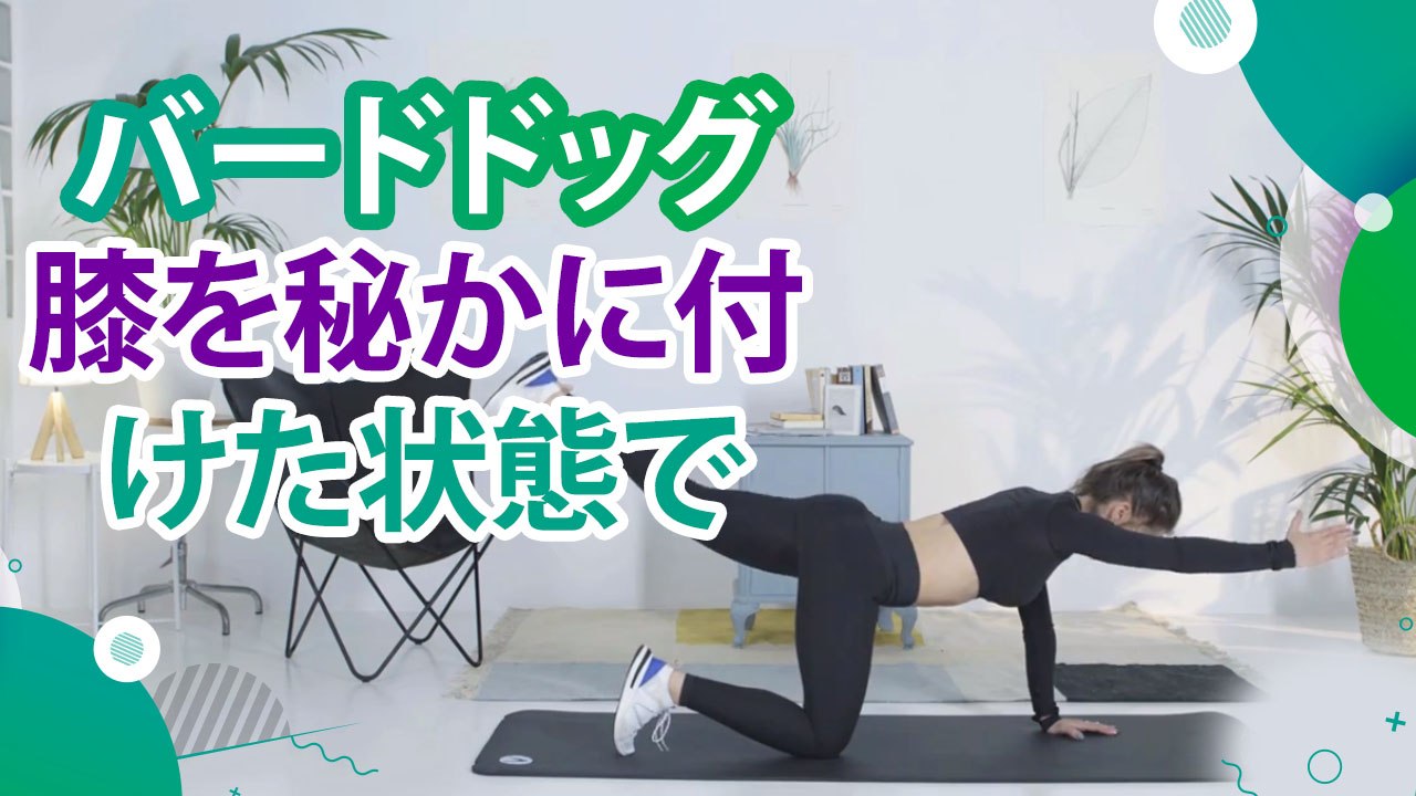 バードドッグ（膝を秘かに付けた状態で) - スポーツライフ